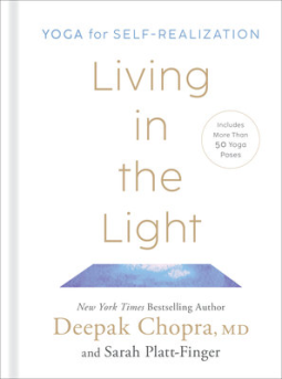 book cover for Living in the Light