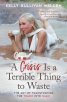 book cover for A Crisis Is a Terrible Thing to Waste
