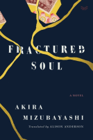 book cover for Fractured Soul