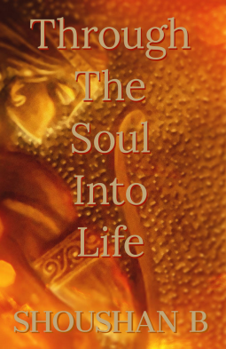 book cover for Through The Soul Into Life