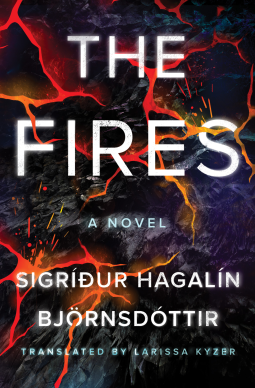 book cover for The Fires