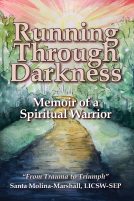 book cover for Running Through Darkness