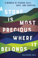 book cover for A Stone Is Most Precious Where it Belongs