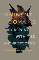book cover for Imminent Domains
