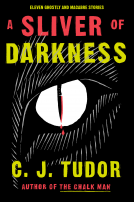 book cover for A Sliver of Darkness