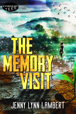 book cover for The Memory Visit