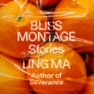 book cover for Bliss Montage
