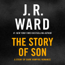 book cover for The Story of Son