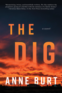 book cover for The Dig