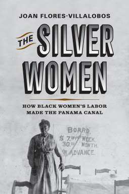 book cover for The Silver Women