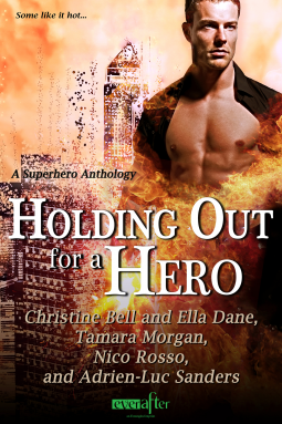 book cover for Holding Out For A Hero