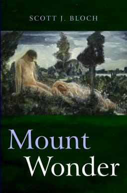 book cover for Mount Wonder