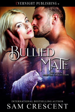 book cover for Bullied Mate
