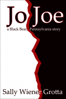 book cover for Jo Joe