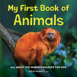 book cover for My First Book of Animals
