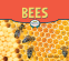 Cover Image: Bees