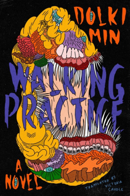 book cover for Walking Practice