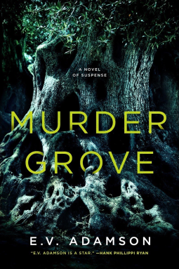 book cover for Murder Grove