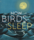 book cover for How Birds Sleep