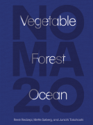 book cover for Noma 2.0
