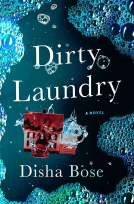 book cover for Dirty Laundry