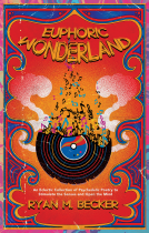 book cover for Euphoric Wonderland