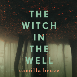 book cover for The Witch In The Well