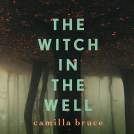 book cover for The Witch In The Well