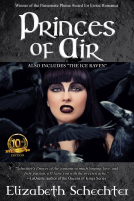 book cover for Princes of Air