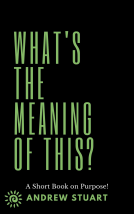 book cover for What’s The Meaning of This?