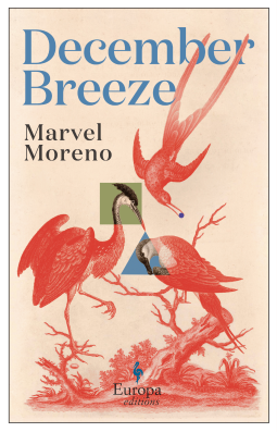 book cover for December Breeze