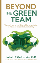 book cover for Beyond the Green Team