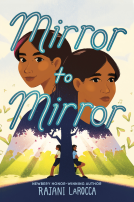book cover for Mirror to Mirror