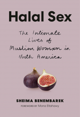 book cover for Halal Sex