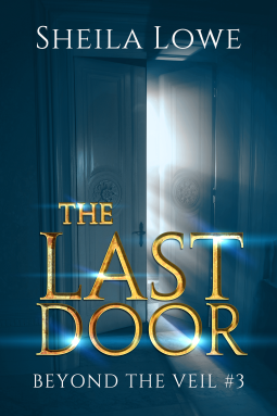 book cover for The Last Door