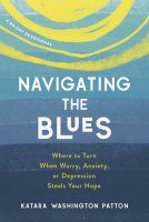 book cover for Navigating the Blues