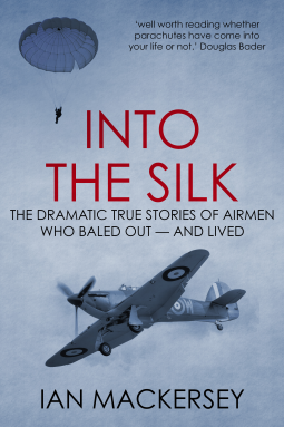 book cover for Into the Silk