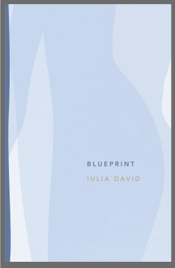 book cover for Blueprint