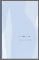book cover for Blueprint