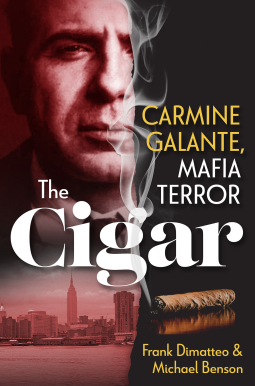 book cover for The Cigar