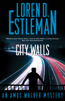 book cover for City Walls