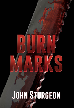 book cover for Burn Marks