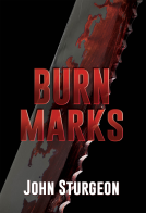 book cover for Burn Marks