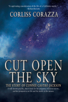 book cover for Cut Open the Sky