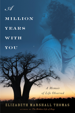 book cover for A Million Years with You