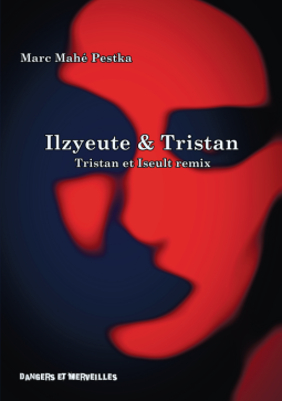 Couverture du livre pour Ilzyeute & Tristan