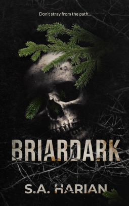 book cover for Briardark