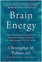 book cover for Brain Energy