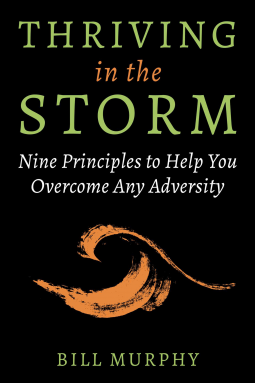 book cover for Thriving in the Storm
