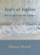 book cover for Tears of Jupiter